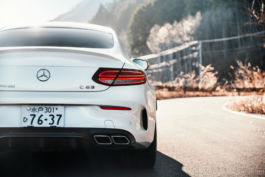 bernstein photodesign